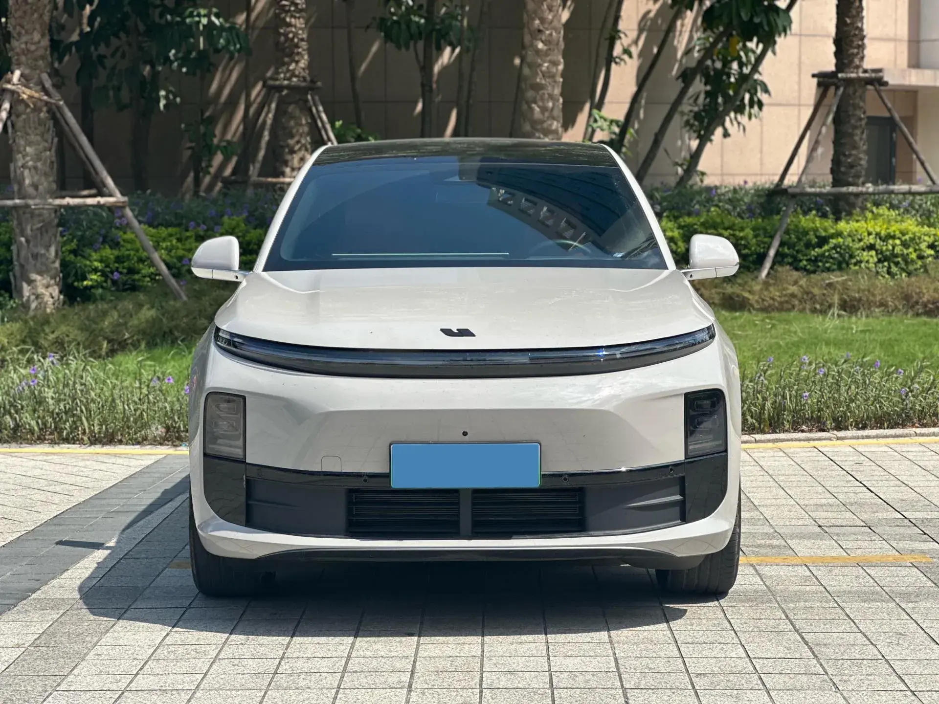 2024 LI L6 thumbnail 2