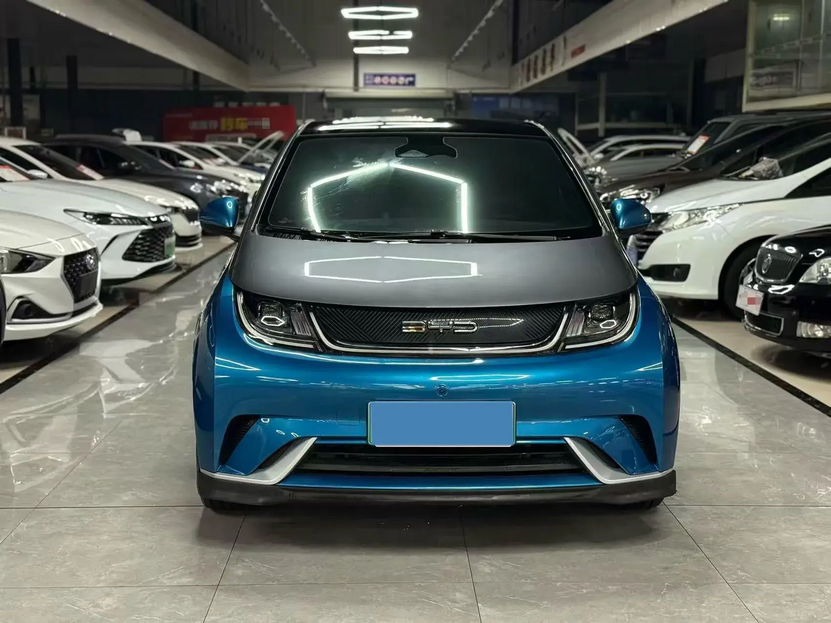 2021 BYD DOLPHIN thumbnail 2