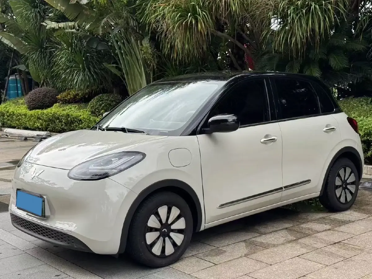 2023 WuLing BinGuo BEV 37.9KWH