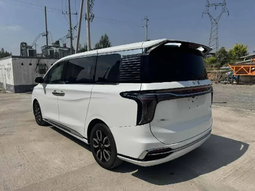 2023 HONGQI HQ9 thumbnail 4