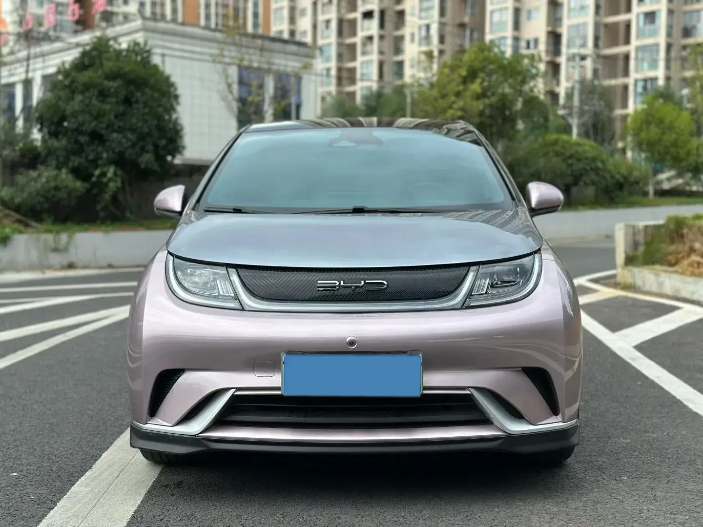 2021 BYD DOLPHIN thumbnail 2