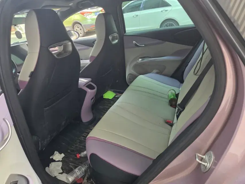 2021 BYD DOLPHIN thumbnail 4