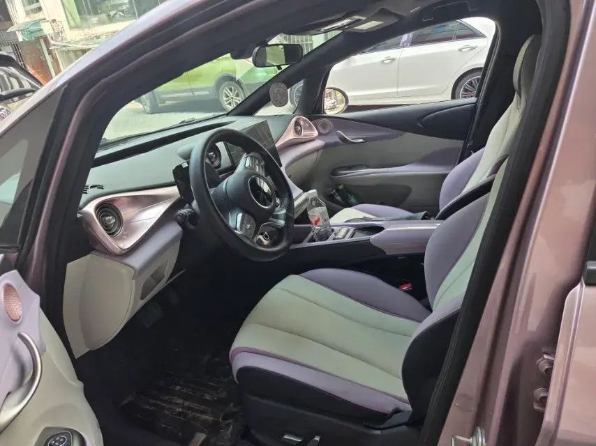 2021 BYD DOLPHIN thumbnail 3