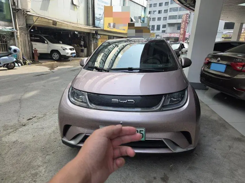 2021 BYD DOLPHIN thumbnail 2