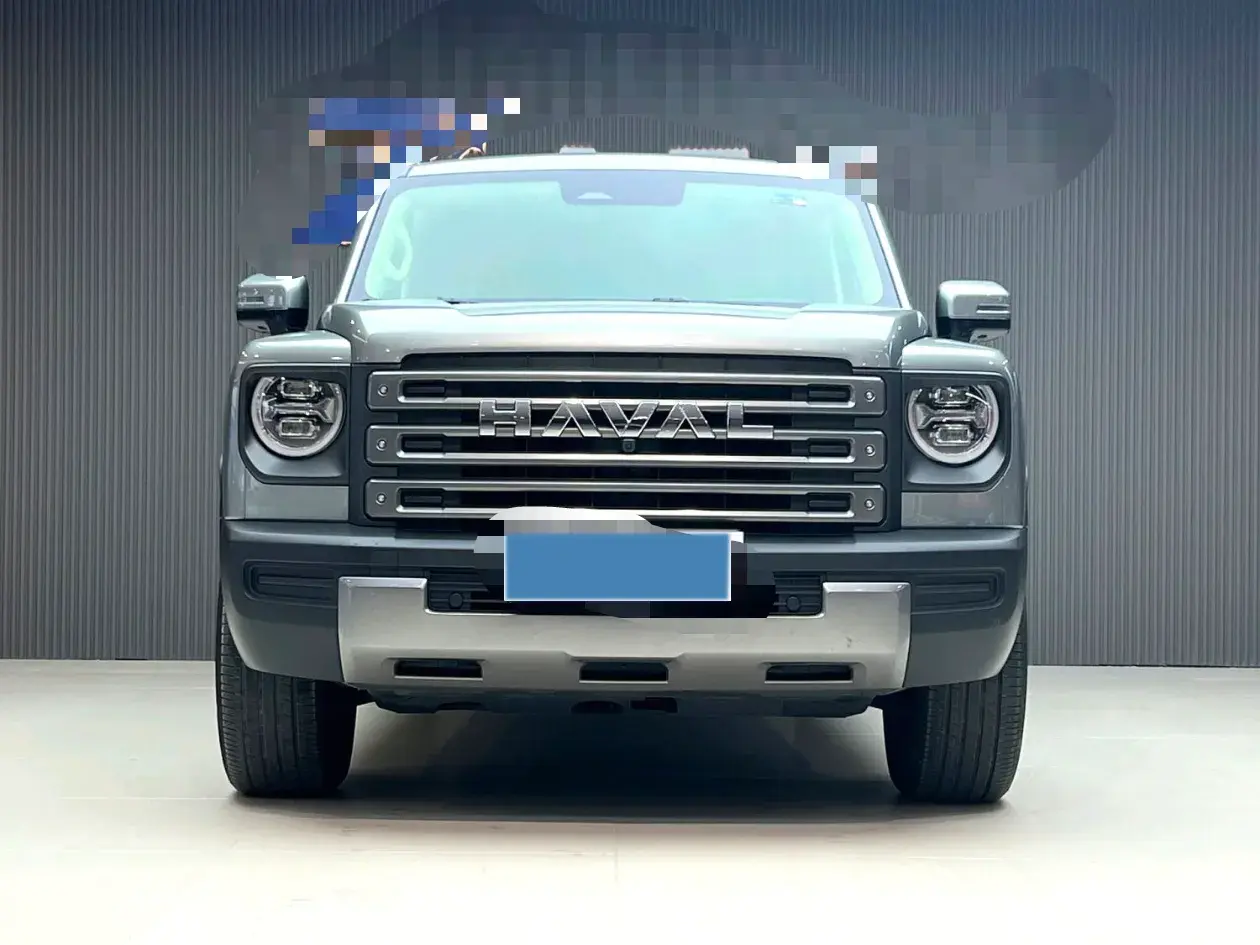 2024 HAVAL RAPTOR thumbnail 2