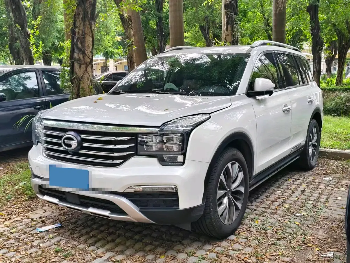 2019 GAC Trumpchi GS8 2.0T 252HP L4 6AT
