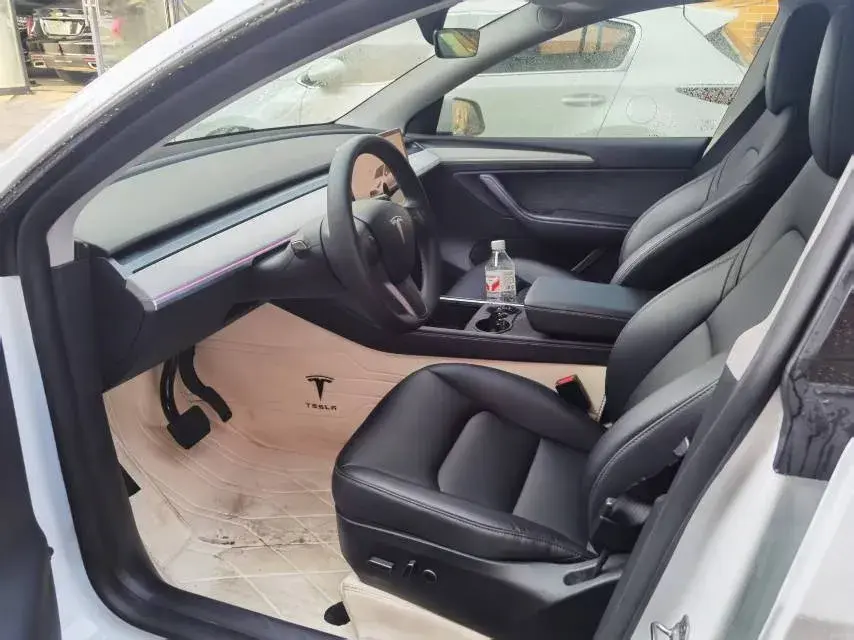 2024 TESLA MODEL thumbnail 2