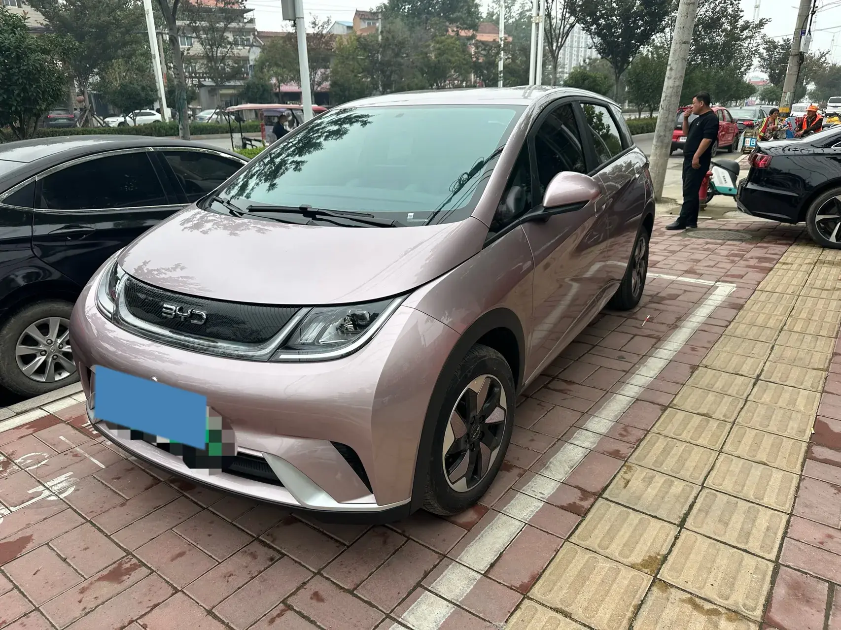 2025 BYD DOLPHIN view 1