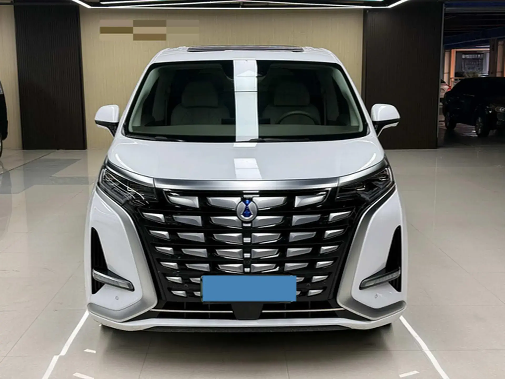 2022 DENZA D9 thumbnail 2