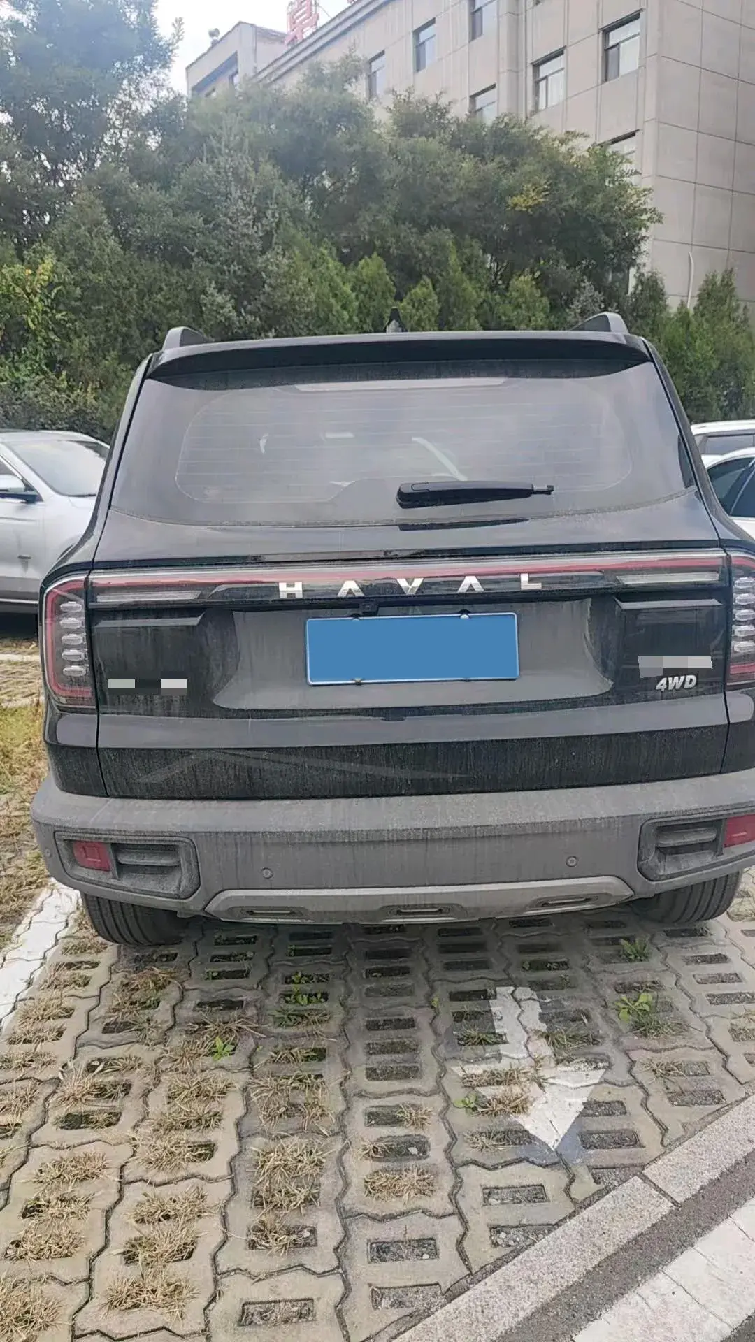 2024 HAVAL DARGO thumbnail 4