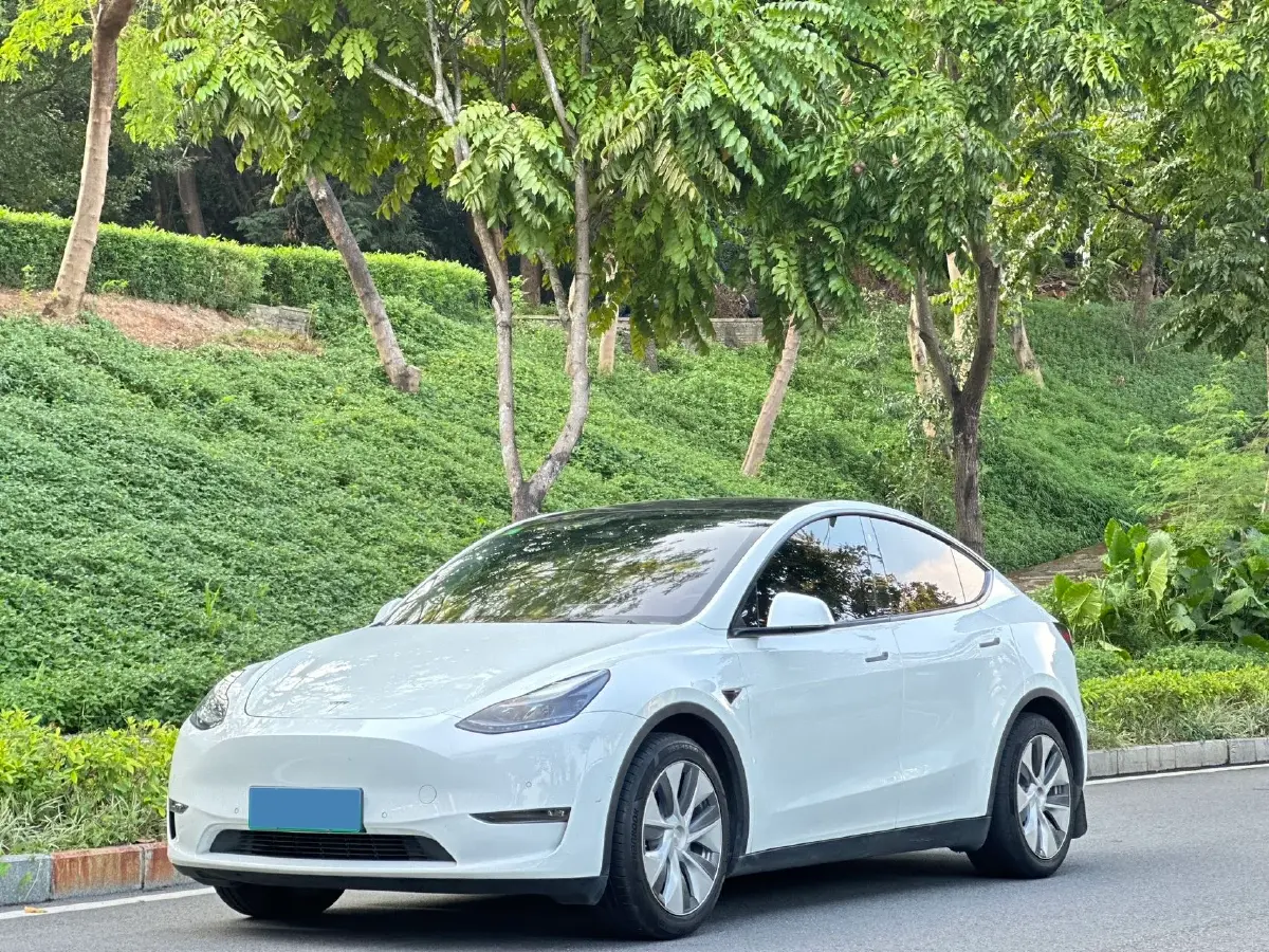 2021 Tesla Model Y BEV 60KWH