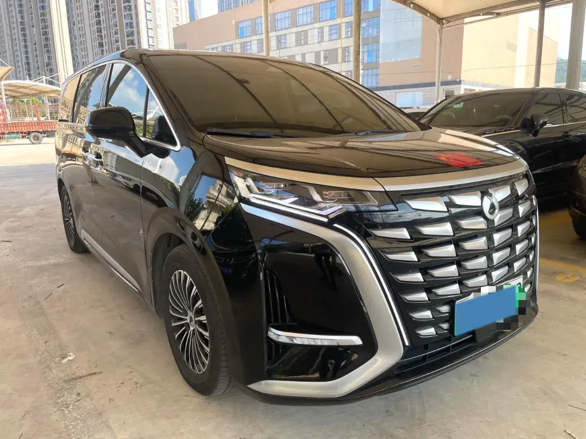 2022 DENZA D9 thumbnail 2