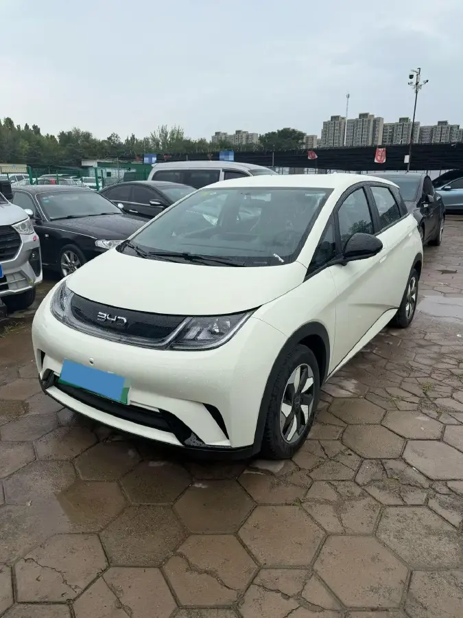 2025 BYD Dolphin BEV 44.928KWH