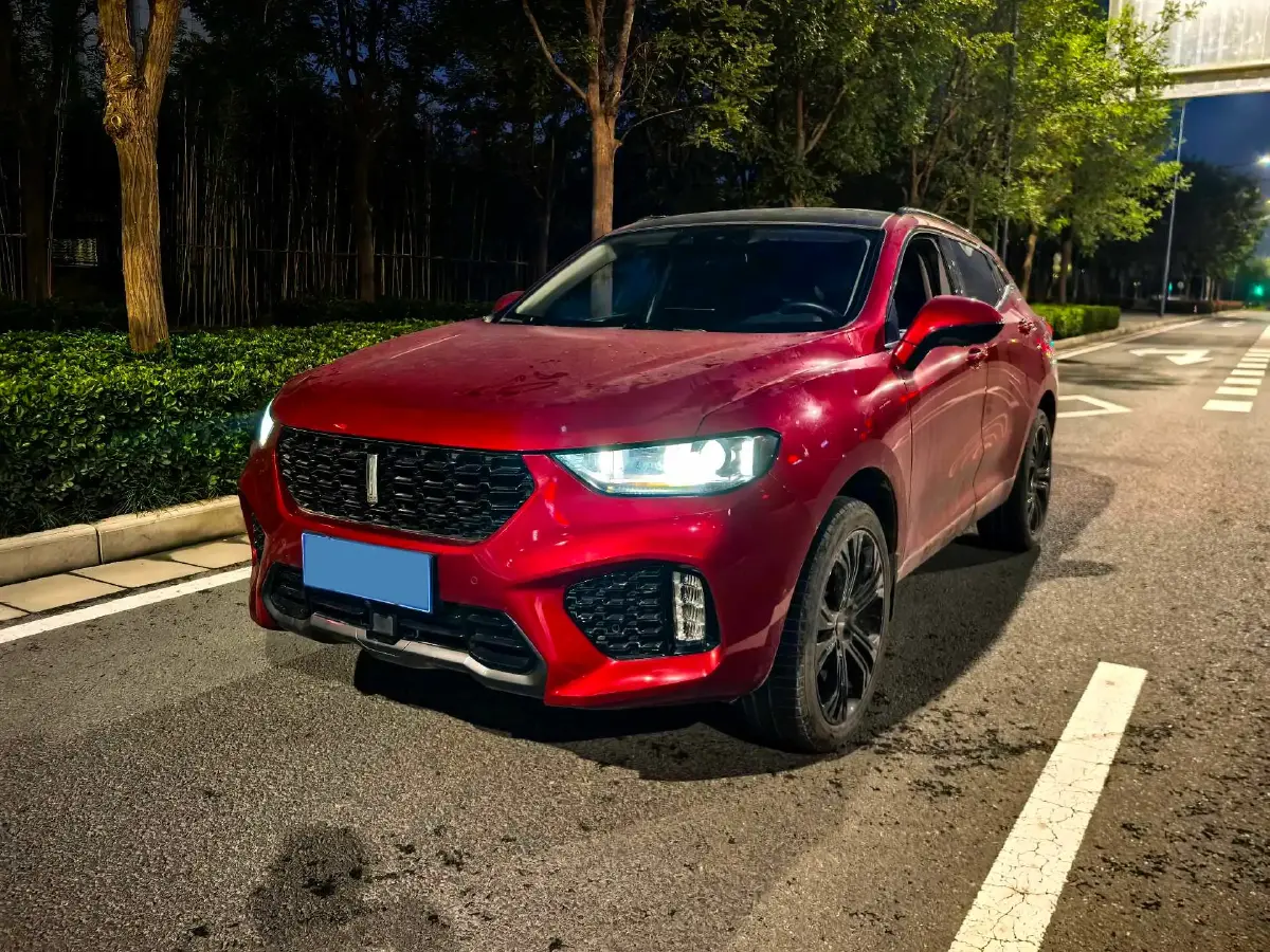 2019 WEY VV5 2.0T 197HP L4 7DCT