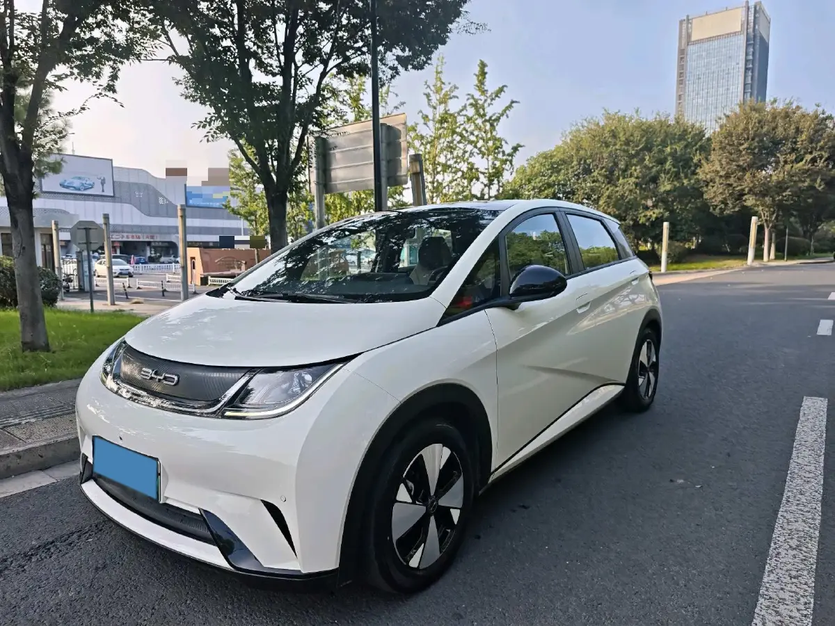 2023 BYD Dolphin BEV 44.928KWH
