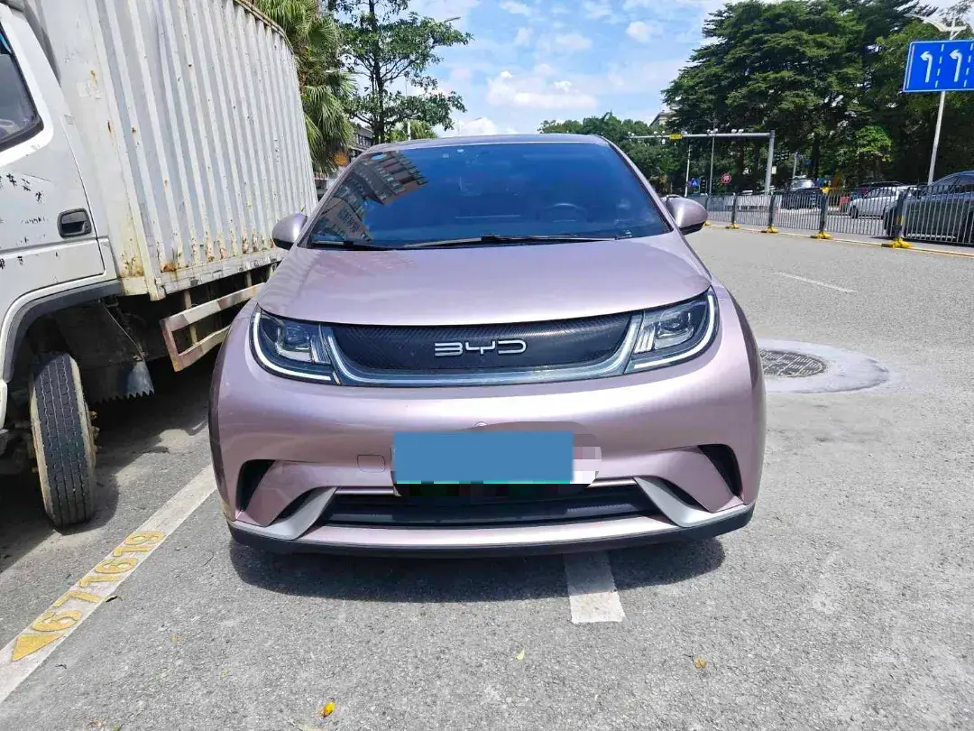 2023 BYD DOLPHIN thumbnail 2