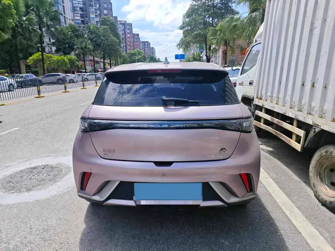 2023 BYD DOLPHIN thumbnail 4