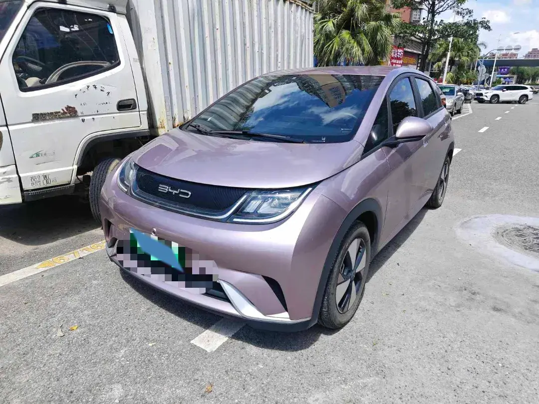 2023 BYD DOLPHIN view 1