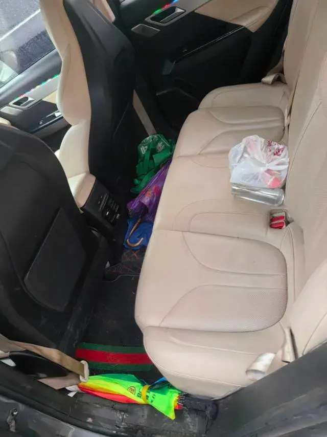 2018 CHERY LITTLE thumbnail 3