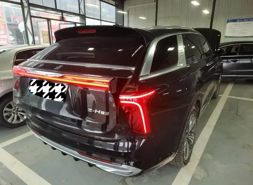 2021 HONGQI E-HS9 thumbnail 2