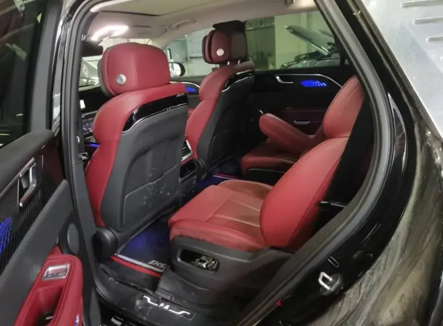 2021 HONGQI E-HS9 thumbnail 4