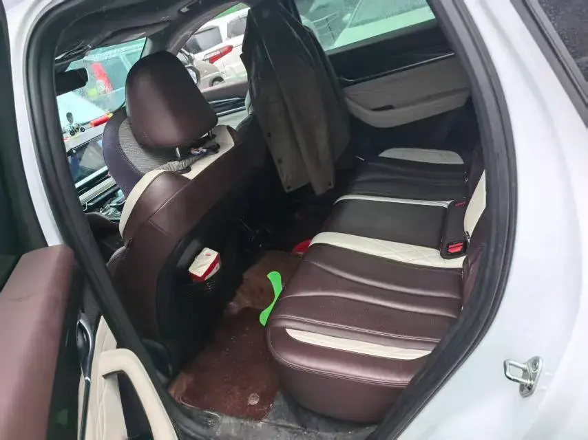 2021 GEELY MONJARO thumbnail 4