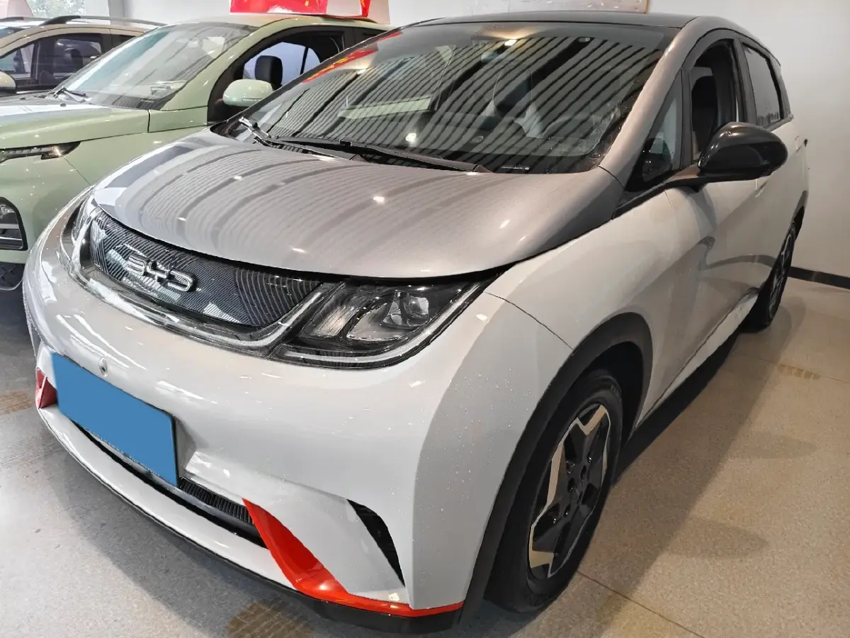 2021 BYD Dolphin BEV 44.9KWH