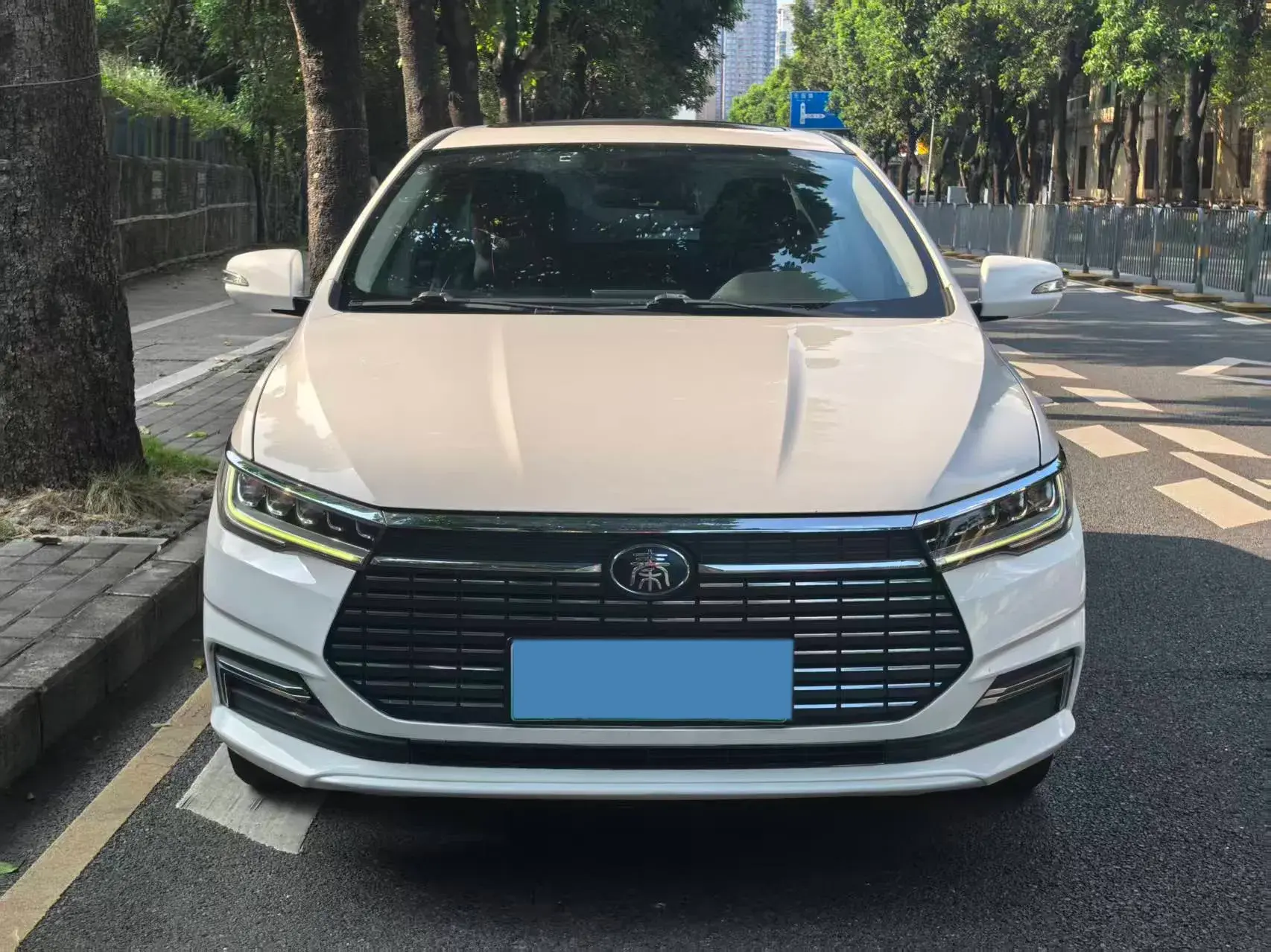 2019 BYD QIN thumbnail 2