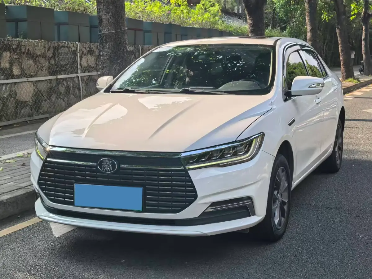 2019 BYD Qin Pro BEV 53.1KWH