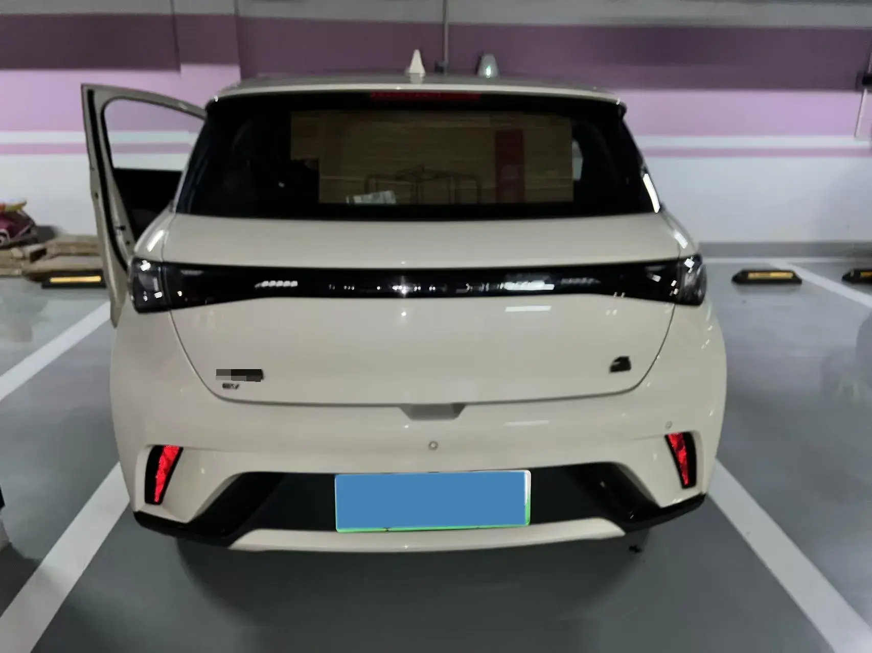 2021 BYD DOLPHIN thumbnail 4