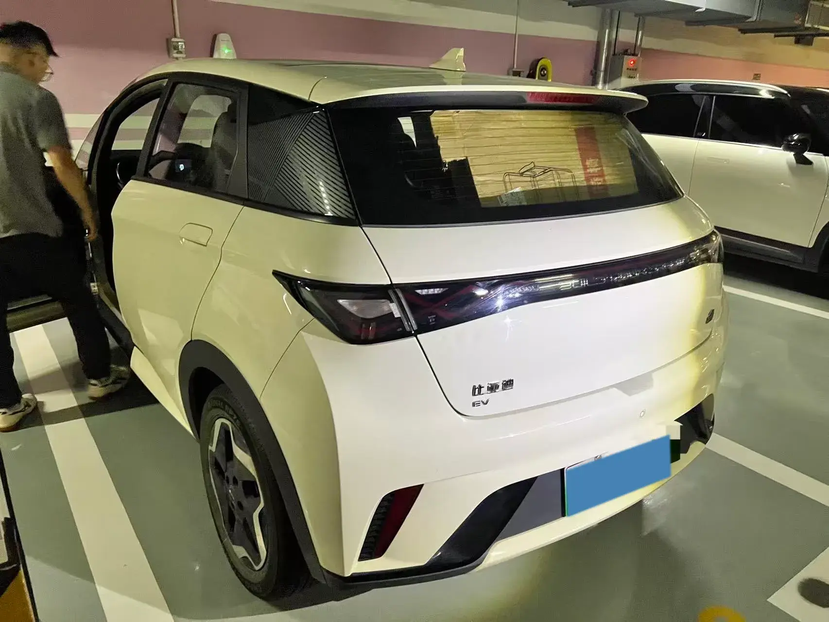 2021 BYD DOLPHIN thumbnail 3