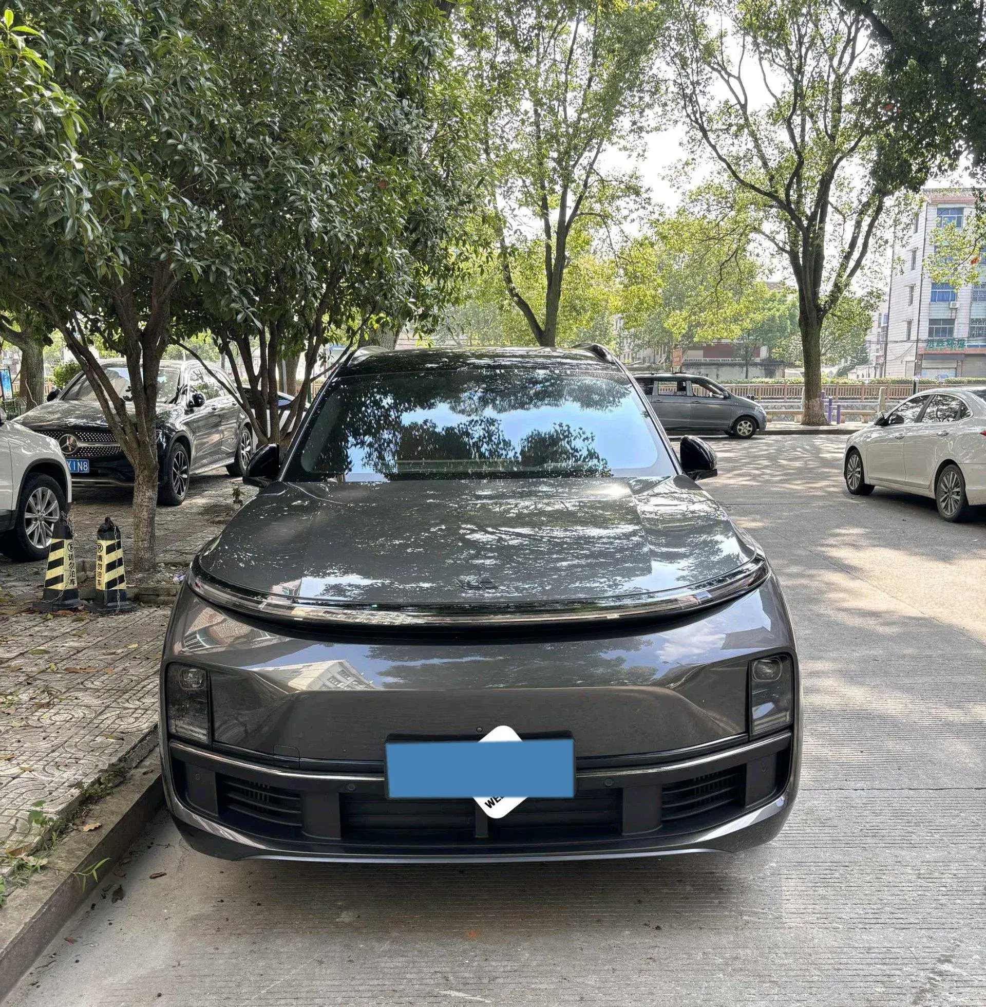 2023 LI L8 thumbnail 2