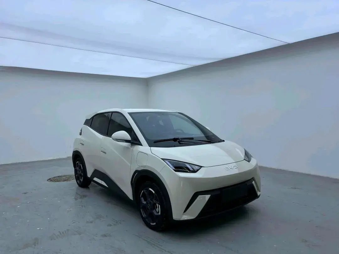 2023 BYD SEAGULL thumbnail 2