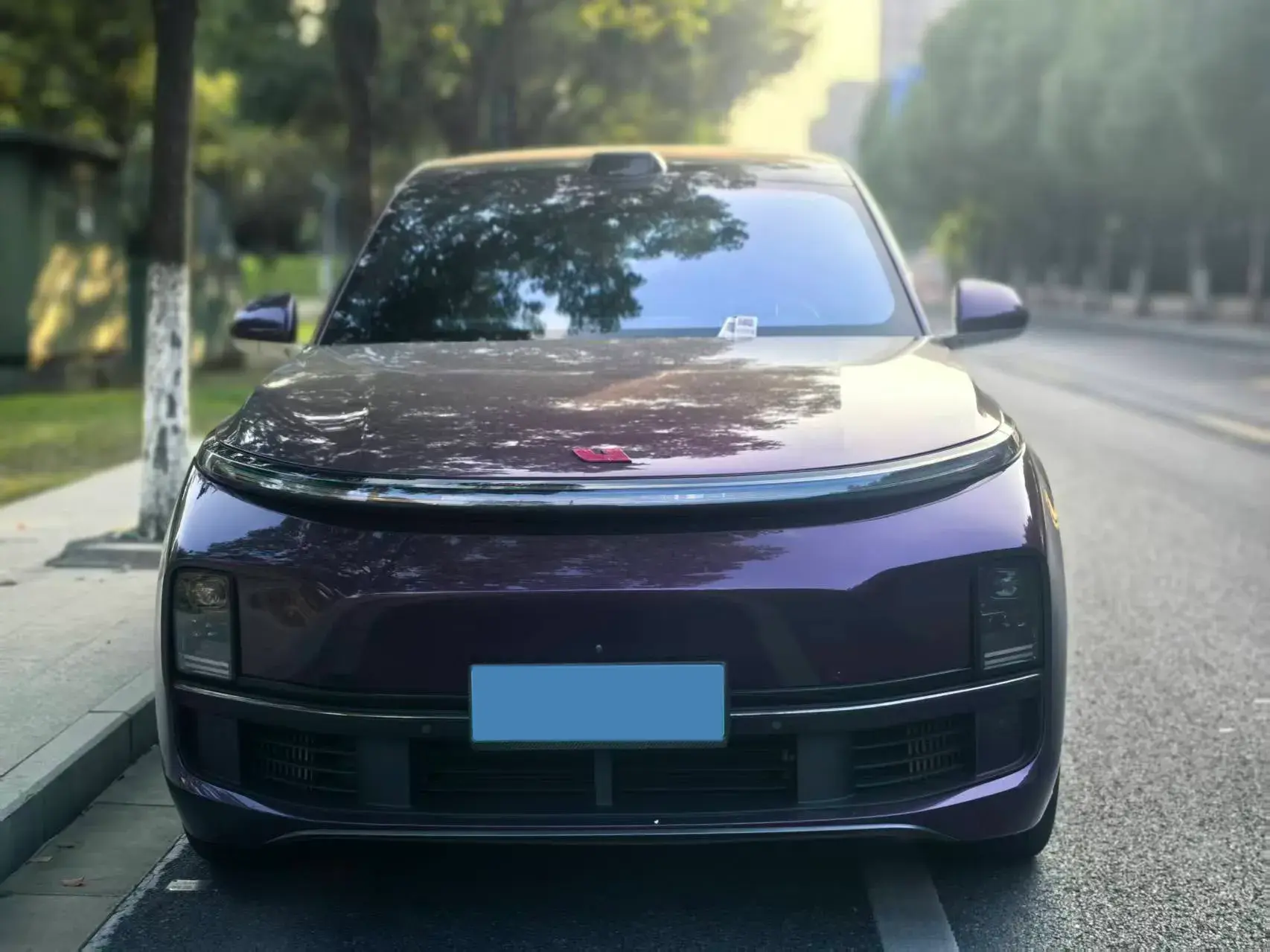 2023 LI L8 thumbnail 2