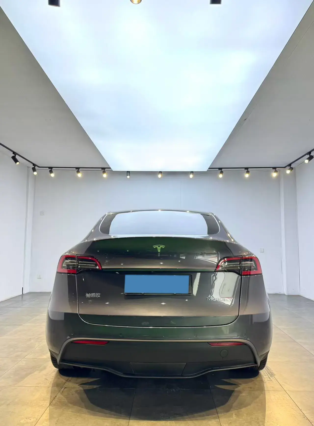 2021 TESLA MODEL thumbnail 4