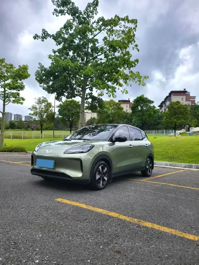 2024 WuLing BinGuoPLUS BEV 50.6KWH