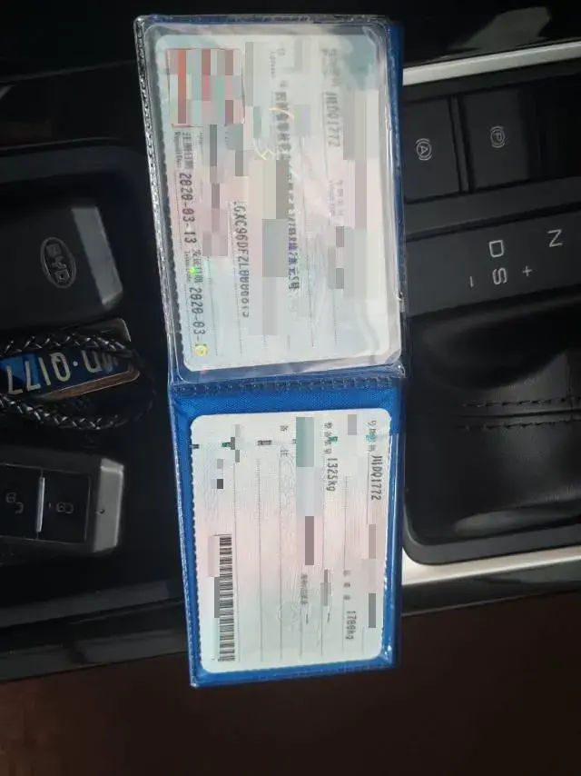 2019 BYD QIN thumbnail 2