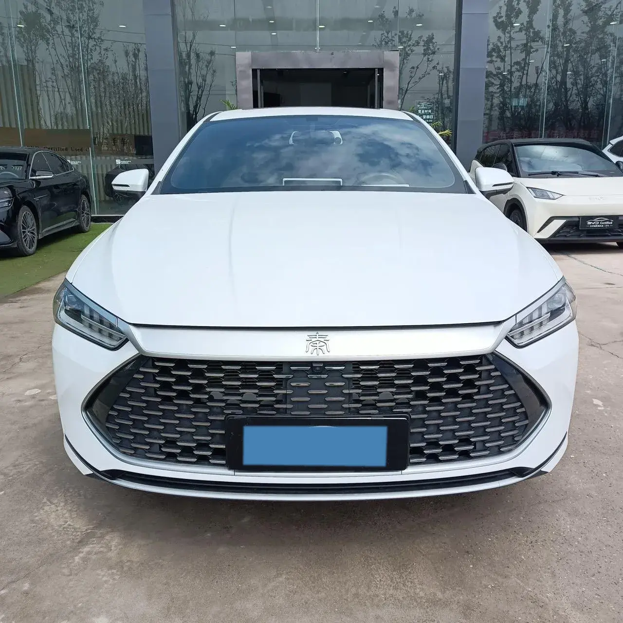 2023 BYD QIN thumbnail 2