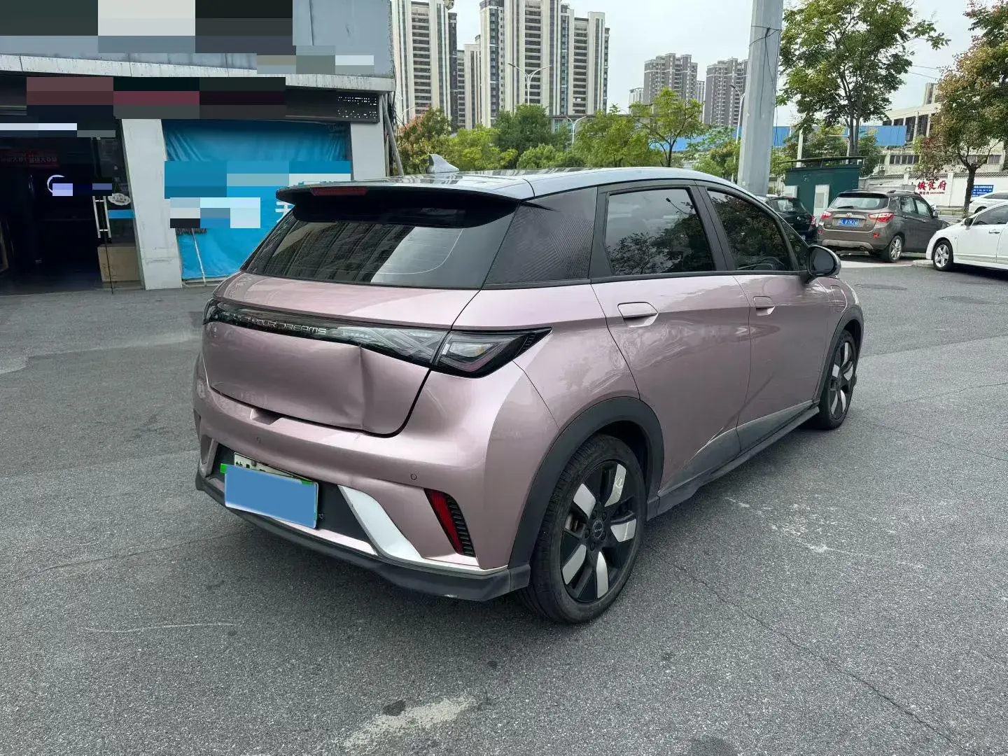 2021 BYD DOLPHIN thumbnail 4