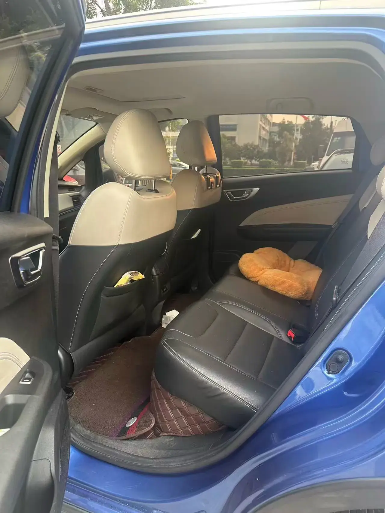 2020 LIVAN MAPLE thumbnail 4