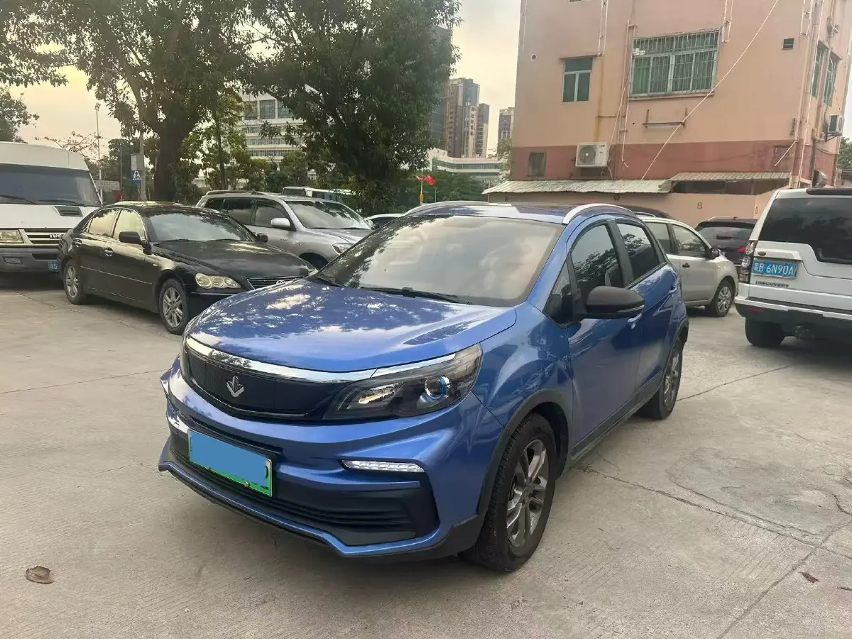 2020 Livan Maple 30X BEV 37KWH