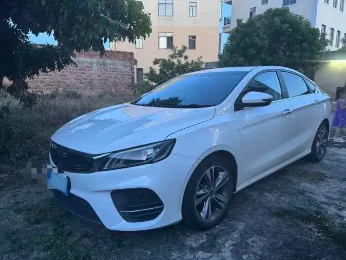 2020 GEELY BINRAY view 1