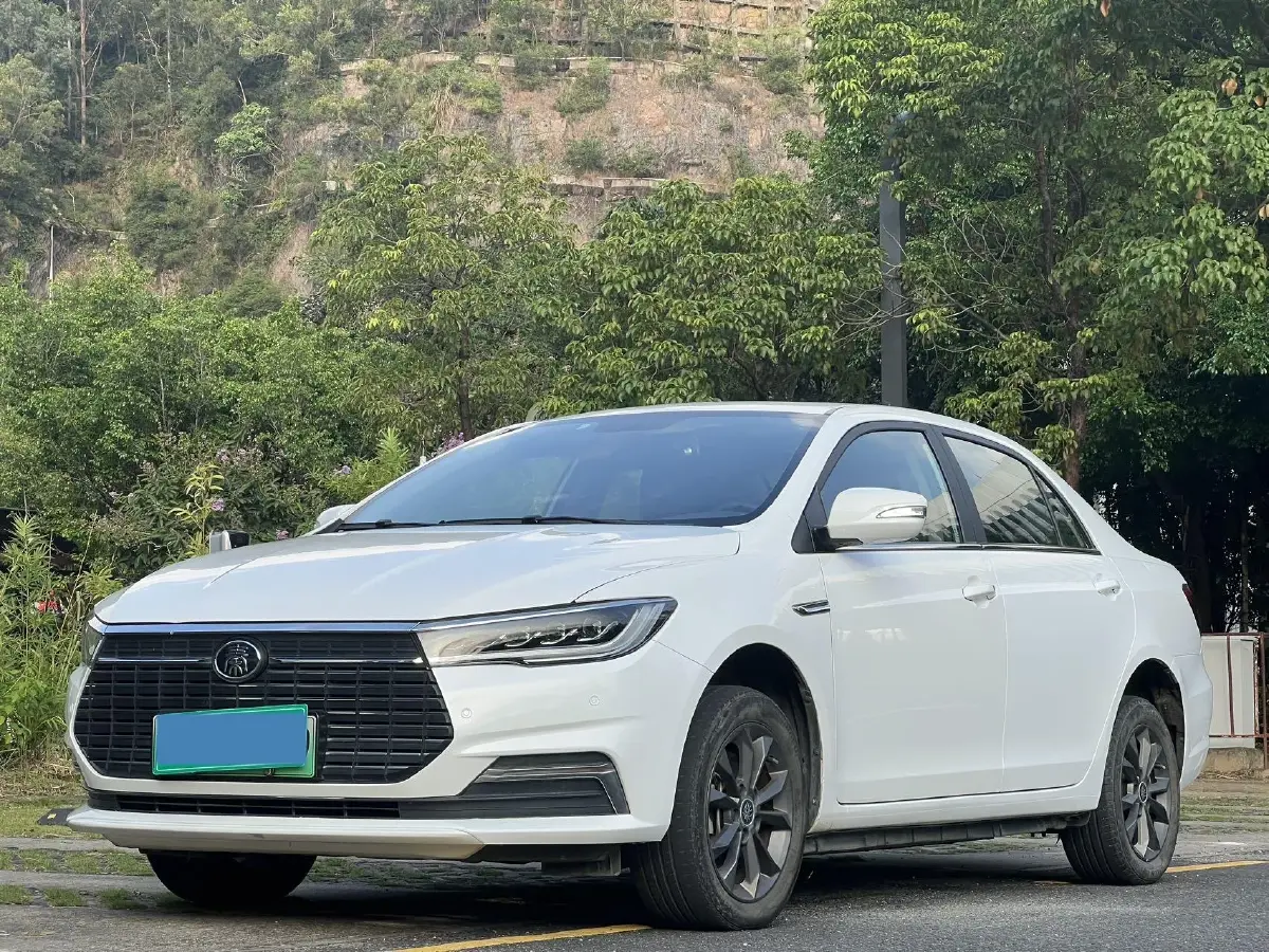 2019 BYD Qin Pro BEV 53.1KWH