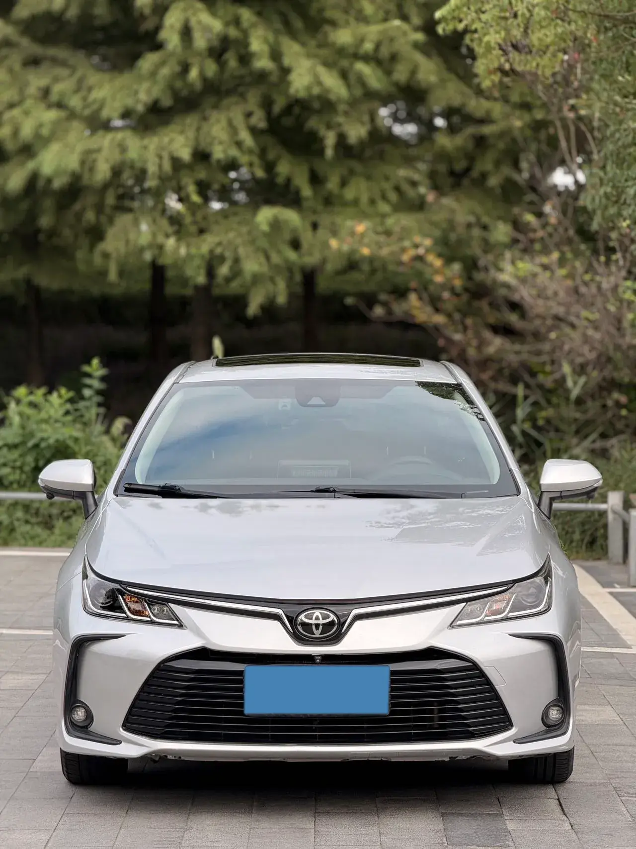 2019 TOYOTA COROLLA thumbnail 2