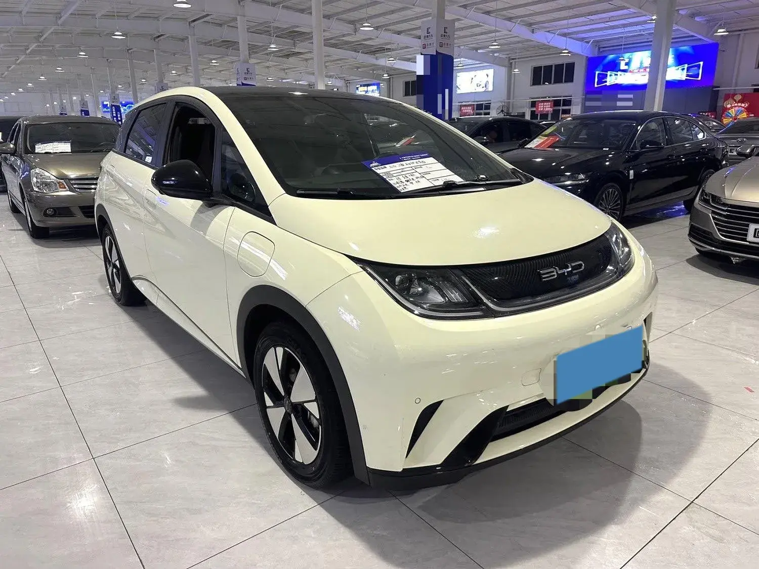 2023 BYD DOLPHIN thumbnail 3