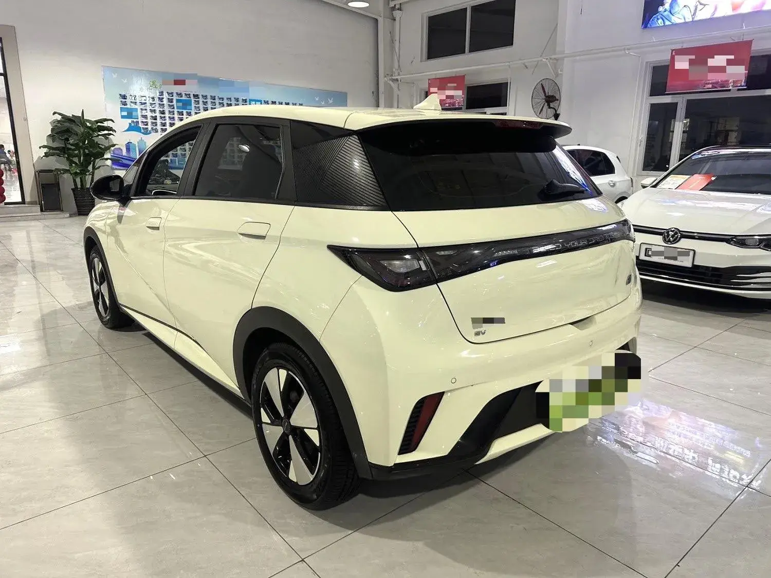 2023 BYD DOLPHIN thumbnail 4