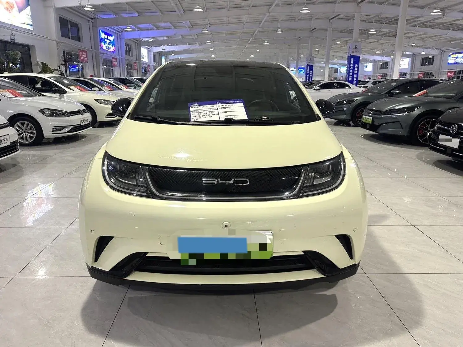 2023 BYD DOLPHIN thumbnail 2