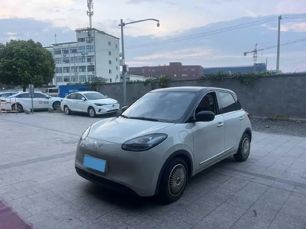 2023 WuLing BinGuo BEV 31.9KWH
