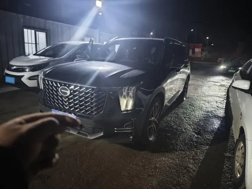 2024 GAC Trumpchi GS8 2.0T 252HP L4 8AT