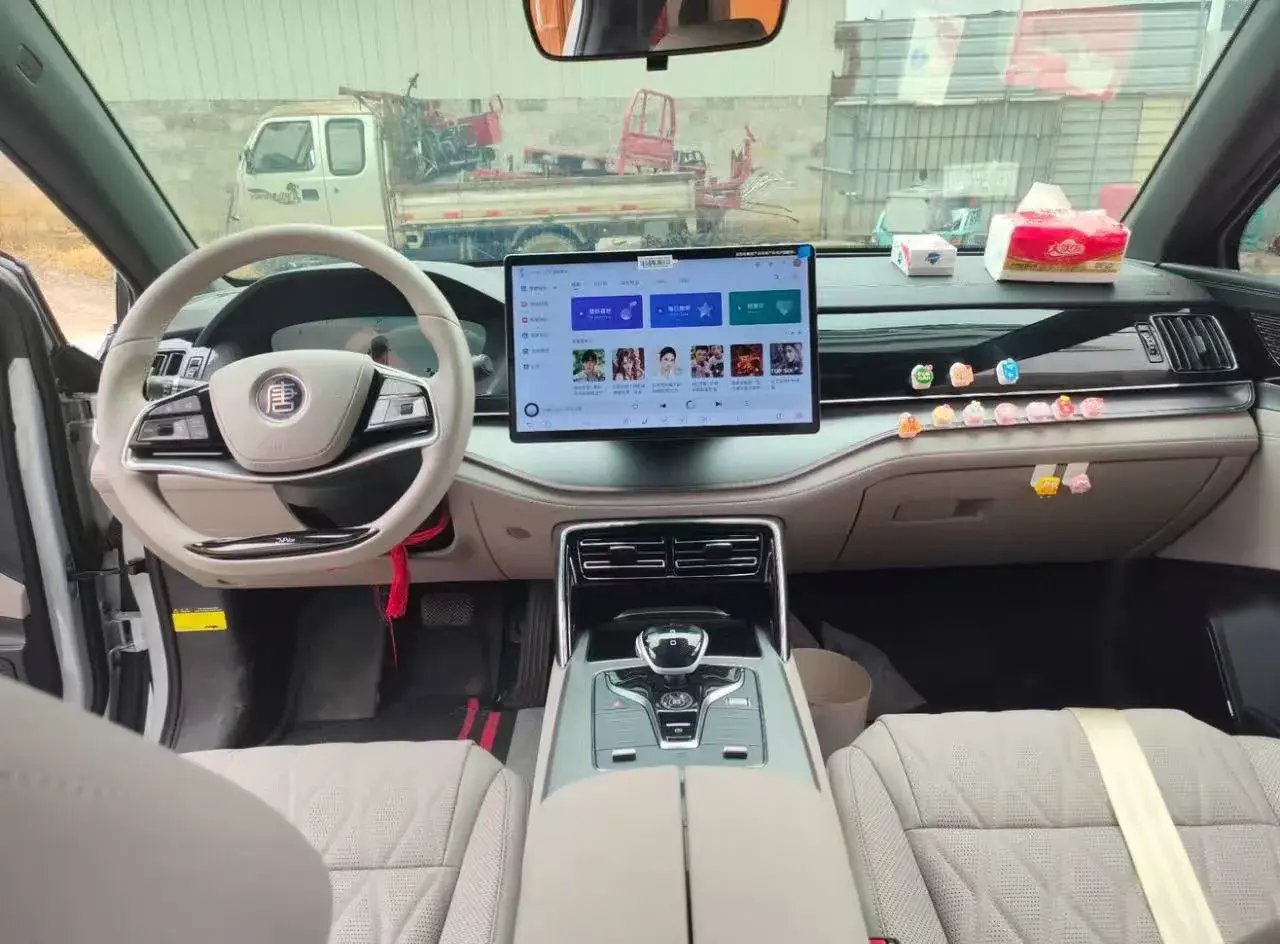 2024 BYD TANG thumbnail 4